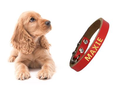 Genuine Leather Monogrammed Pet Collar - Multiple Colours!