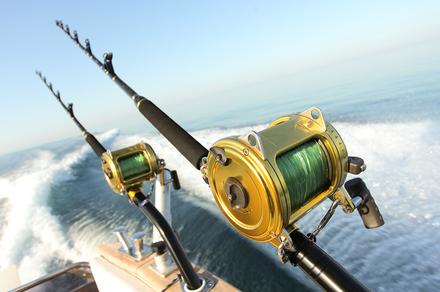 Catch a Six-Hour Deep Sea Fishing Experience in Rose Bay