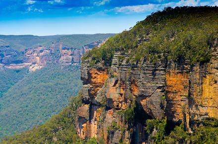 Sydney: Scenic Half-Day Local Northern Natural Wonders Tour of Ku-Ring-Gai Chase National Park and the Northern Beaches 