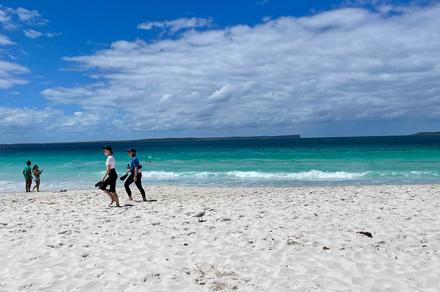 Sydney: Explore the Beauty of the South Coast on a Full-Day Jervis Bay Tour with Roundtrip Transfers 