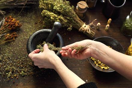 Master Herbalist Online Course
