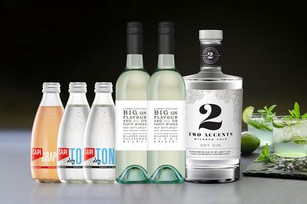 Dry Gin, Mixers and Bottles of Wine Combo Pack