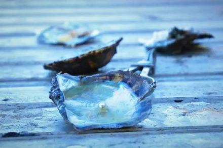 Sydney: Broken Bay Pearl Experience and Brisbane Waters National Park Tour with Oyster Tasting & Two-Course Lunch 