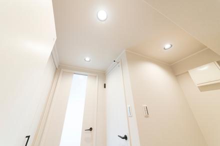 Replacement LED Downlights + Installation Labour