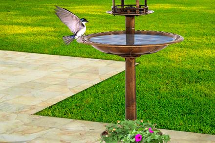 PaWz Solar Light Bird Bath Feeder