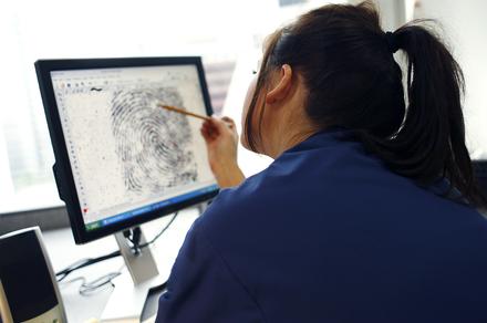 Criminology and Profiling Online Course