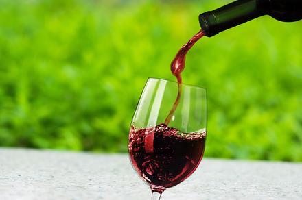 12 Bottles of 2013 McLaren Vale Cabernet Cleanskins