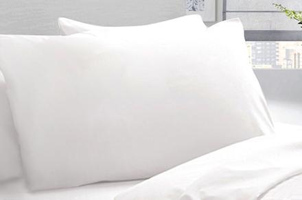 Royal Comfort Feather and Down Pillows | Twin Pack