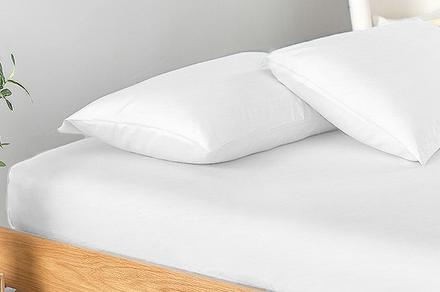 Ramesses 2000TC Bamboo Fitted Sheet Combo Set for King Bed - Seven Colours Available
