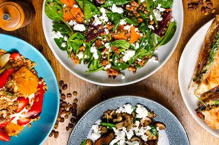Book Your Table at Hoochie Mamma Cafe in Newtown