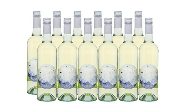 12 Bottles of 2017 New Horizon Semillon Sauvignon Blanc