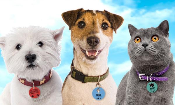 Personalised Pet Tags for Furry Friends