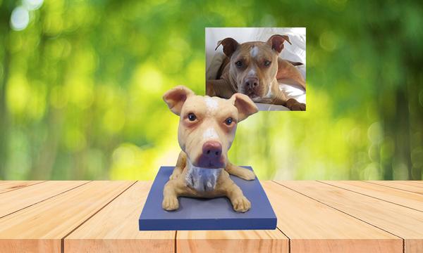 Create a Customised Bobblehead Doll for Your Pet Dog or Cat