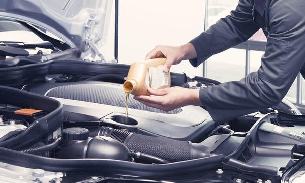 Comprehensive Service with Oil and Filter Change in Lower Hutt