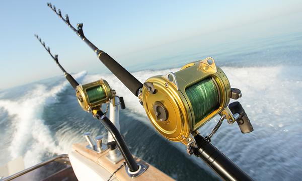 Catch a Six-Hour Deep Sea Fishing Experience in Rose Bay