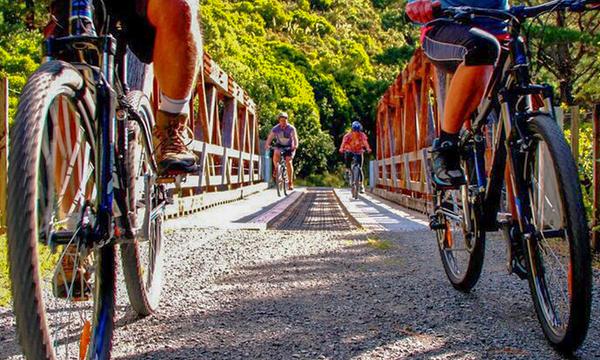 Comfort Mountain Bike Hire with Shuttle in Upper Hutt