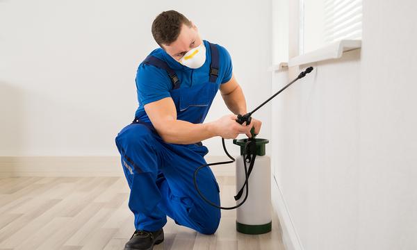 Choice of Three Pest Control Treatments for the Home