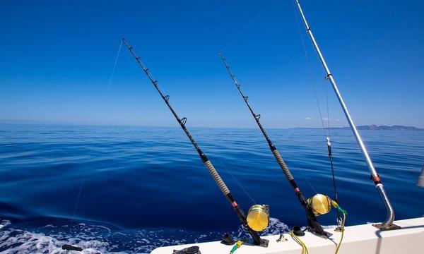 Half-Day Deep Sea Fishing Charter from Rose Bay