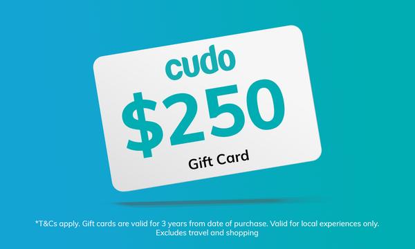 $250 Cudo e-Gift Card