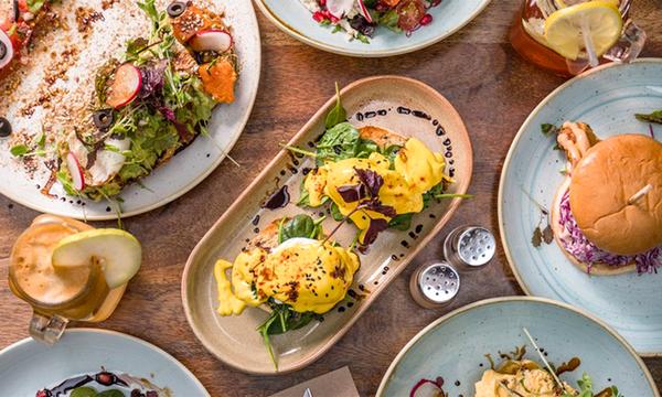 50% Off the Total Bill at The Shed Cafe 