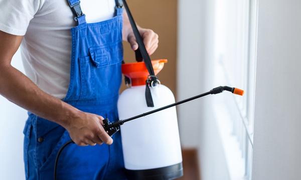 Pest Control Treatment - Upgrade for Termite Inspection