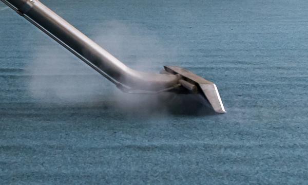 Professional Steam Carpet Cleaning and Disinfecting Packages