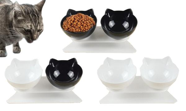 Anti-Vomiting Cat Bowl