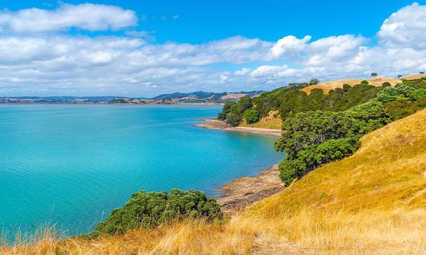 Auckland: Half or Full-Day Duder Regional Park Coastal Walking Tour with Return Transfers
