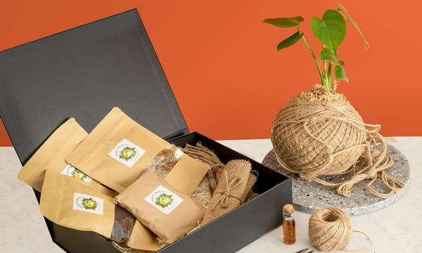 DIY Kokedama Kits with Personalised Tag