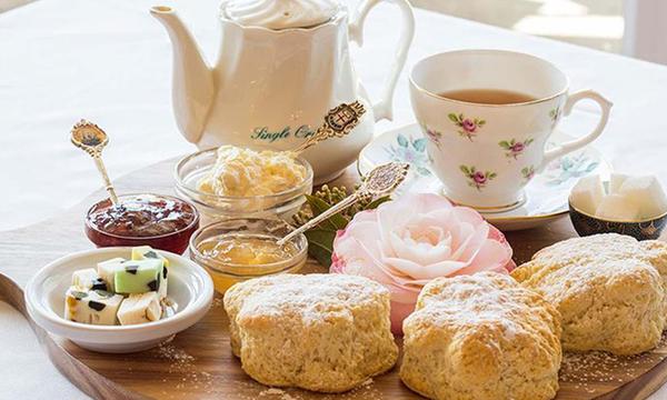 Weekday Devonshire Tea and Garden Entry at Aston Norwood Gardens