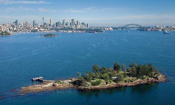 Sydney Harbour Discovery Cruise to Shark Island with BBQ