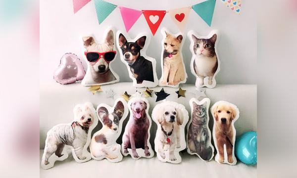 Great Gift Idea: Personalised 3D Pet Pillow