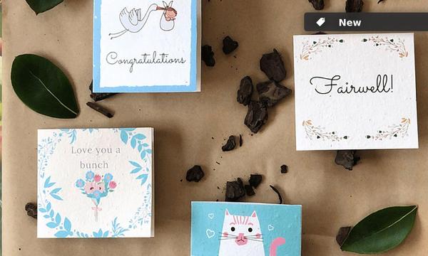 Plantable Cards with Personalised Gift Tag