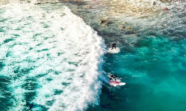 Hit the Waves with Group Surfing Lessons in Dee Why