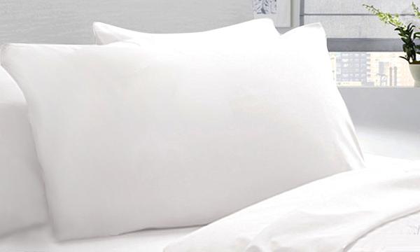 Royal Comfort Feather and Down Pillows | Twin Pack