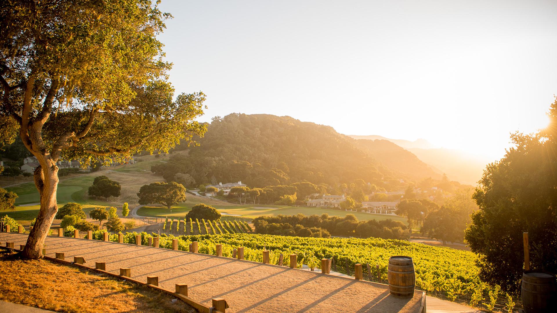 Luxury Ranch Stay in Monterey’s Wine Country, CarmelbytheSea, California