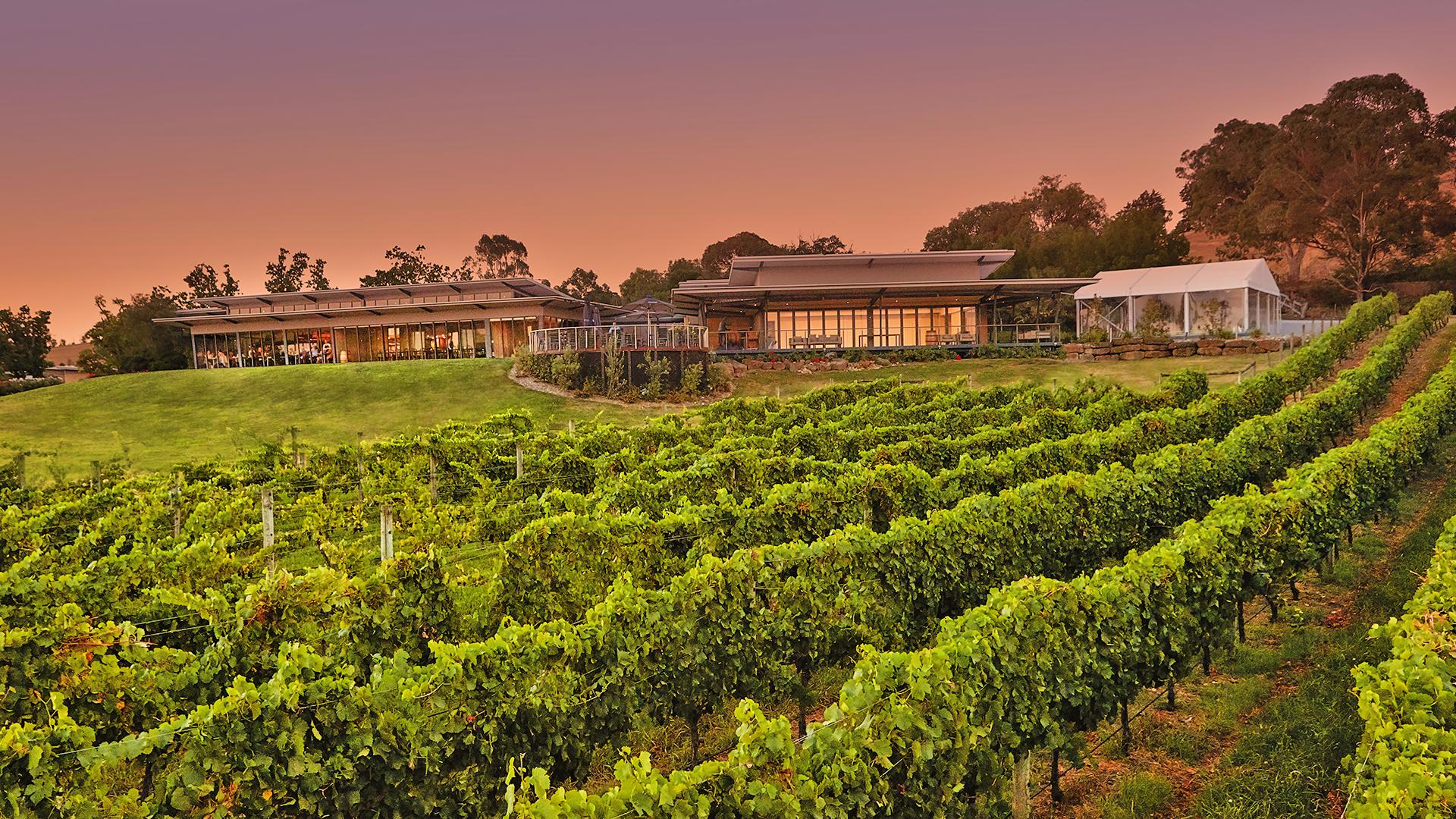 Luxe Vineyard Stay with Cellar Door Wine Tasting , Yarra Valley, VIC