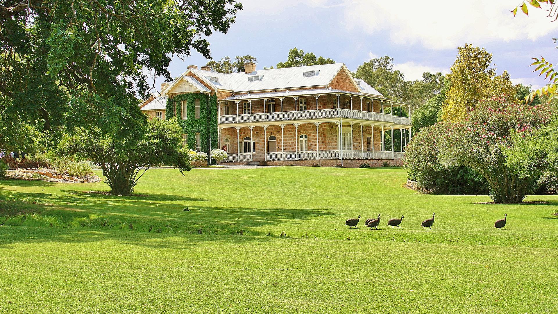 clare valley experiences tours & accommodation