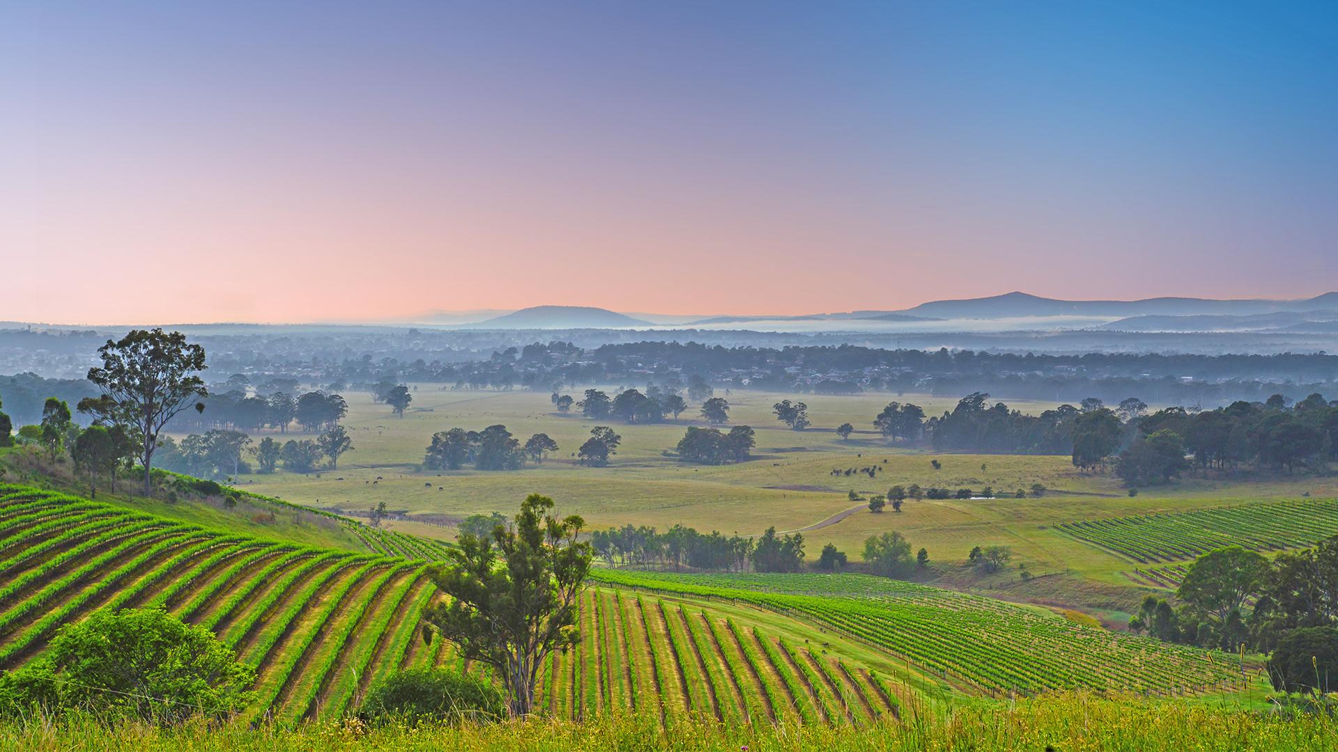 Award-Winning, Five-Star Indulgence in the Scenic Hunter Valley Region ...