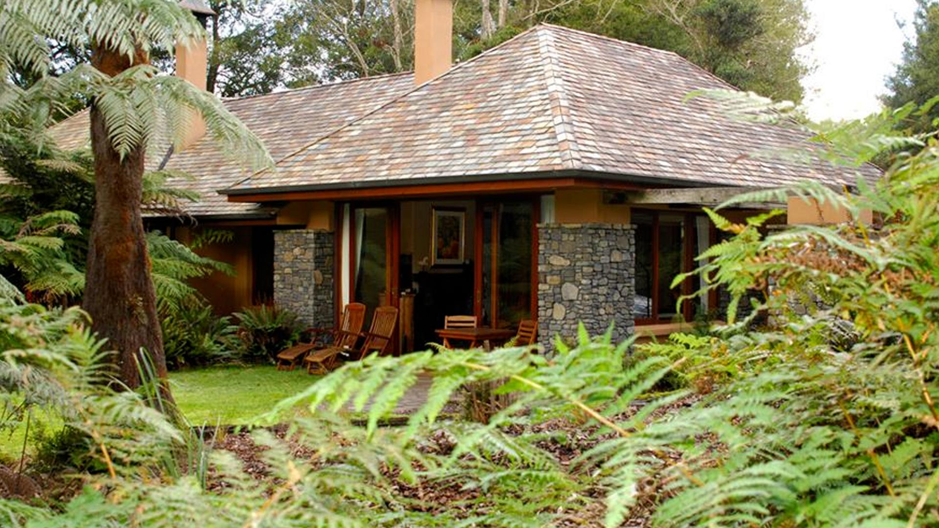 Gourmet Escape in Ancient Rotorua Forest, Rotorua, New Zealand