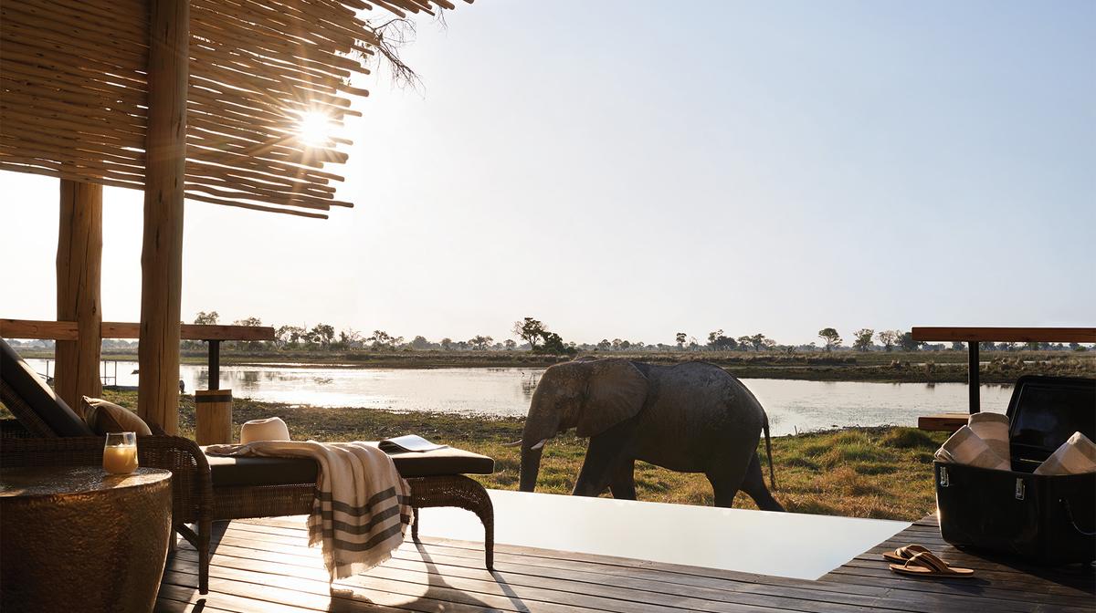 Botswana 2024 Private Fly-In Safari with All-Inclusive Belmond Lodge Stays, Okavango Delta & Daily Game Drives