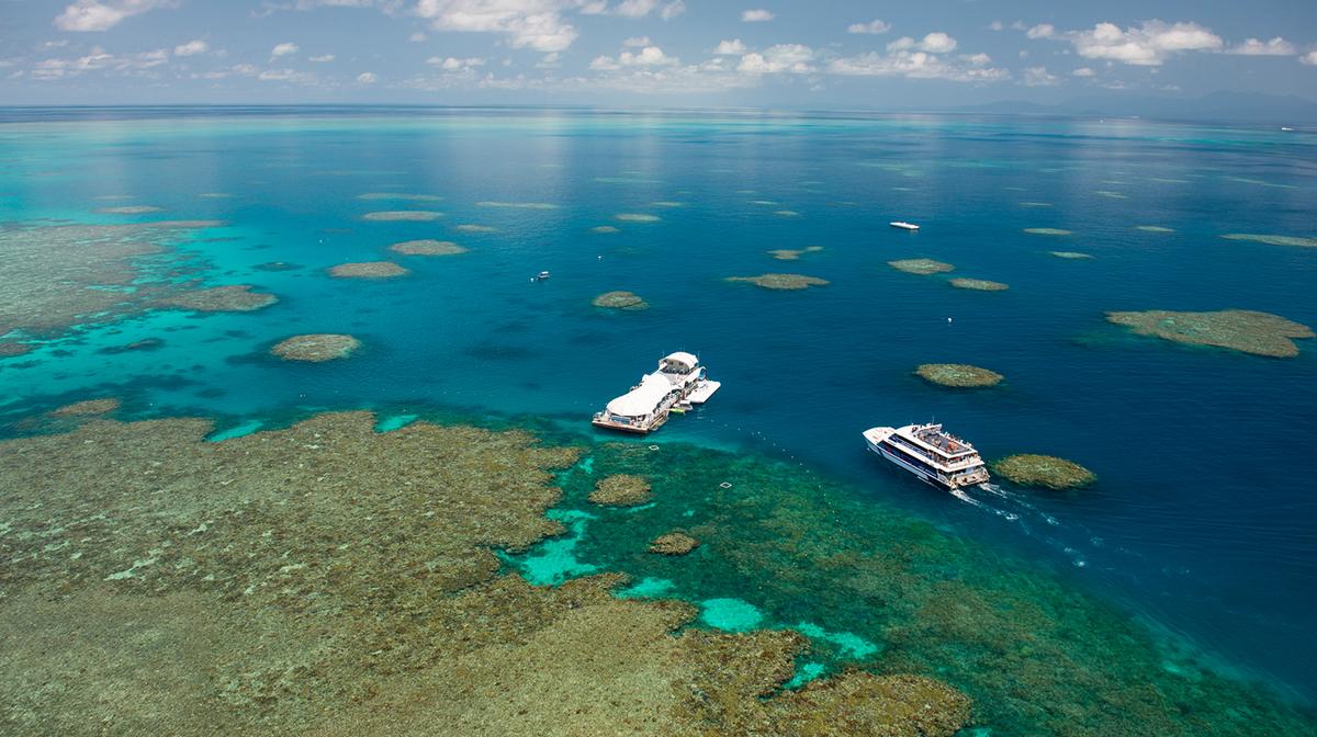 Cairns: Full-Day Outer Great Barrier Reef Adventure with Buffet Lunch & All Snorkelling Equipment