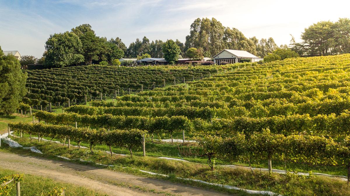 Gippsland All-Cottage Luxury Escape with Boutique Wine Tastings & Local Breakfast Hamper 