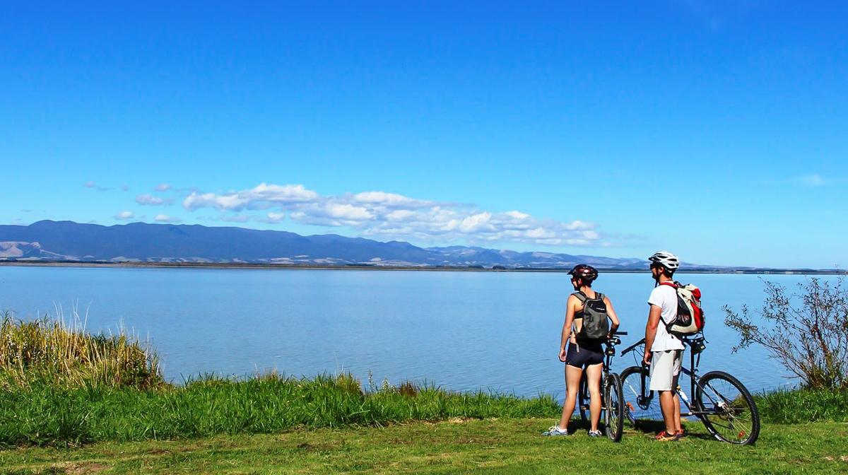 Wellington: Half-Day Remutaka Rail Trail eBike Explorer Self-Guided Tour 