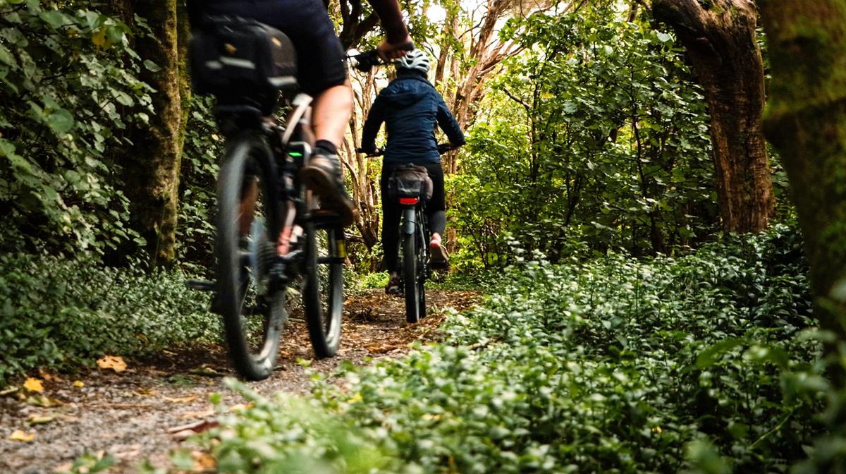 Wellington: Five-Hour Remutaka Incline eBike Ride from Kaitoke to Wairarapa