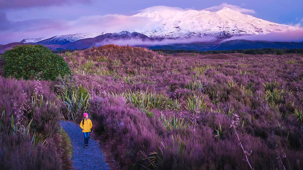 Whakapapa: Two-Hour Tongariro National Park Sunset Guided Loop Walk with Glass of Wine