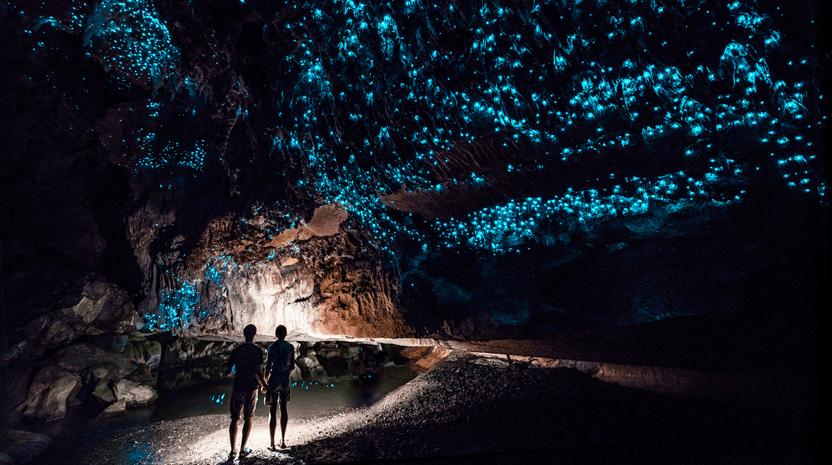 New Zealand 2024/25 North Island Fully-Guided Tour with Waitomo Glowworm Caves, Lake Rotorua & Hawke's Bay Wine Tasting