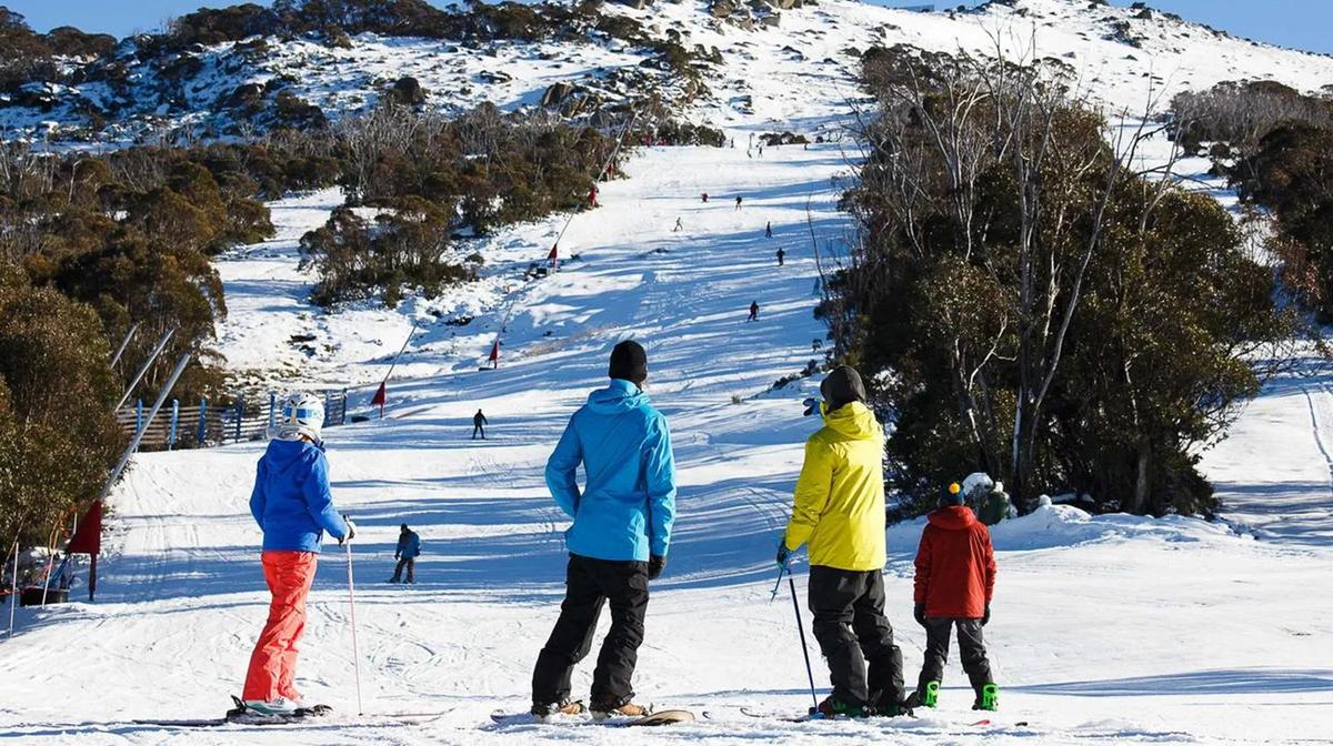 Sydney: Experience a Day at the Snow with a One-Day Thredbo Trip with Return Transfers