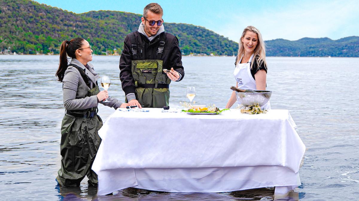 Sydney: Immersive Oyster Farm Boat Tour & In-Water Dining Experience with Oyster Tasting