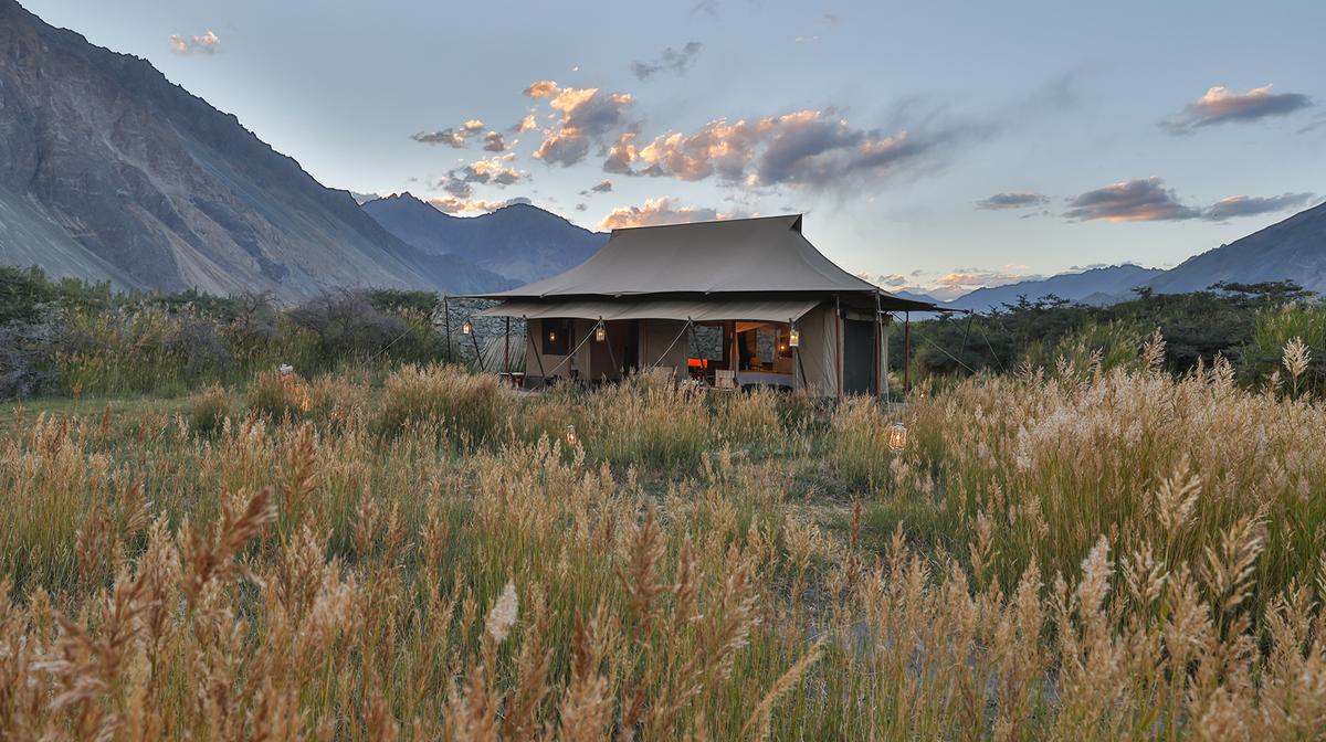 Colonial-Style Luxury Glamping in the Indian Wilderness Overlooking Nubra Valley 